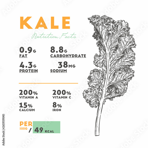 Nutrition facts of Kale, Hand draw sketch vector.