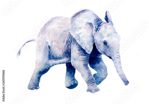 Sticker Watercolor drawing of a little baby elephant.