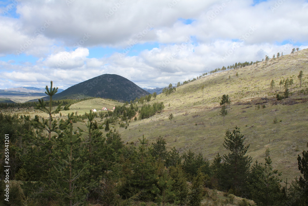 Obraz premium Panoramic view from the beautiful green plateau of Zabljak mountain to the snowy Durmitor mountain, Montenegro
