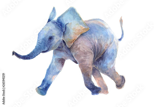 Photography Watercolor drawing. Walk a little baby elephant