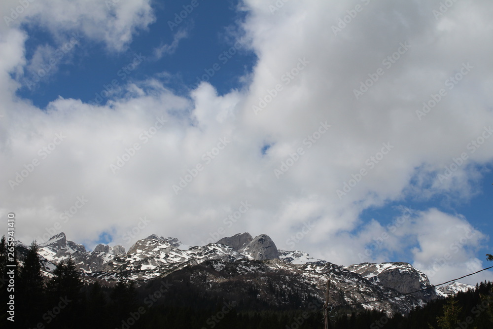 Panoramic view  from the beautiful green plateau of Zabljak mountain to the snowy Durmitor mountain, Montenegro
