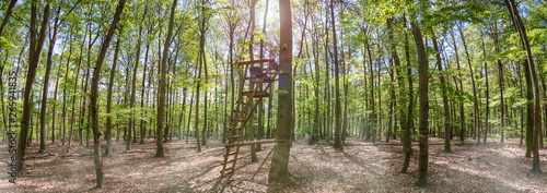 Lookout tower for hunting in a green forest panorama