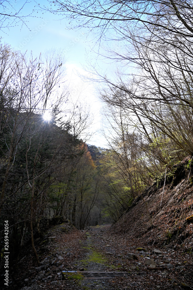 Fototapeta premium 南アルプスの登山道 甲斐駒ヶ岳
