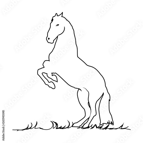 Horse Icon  Vector  Silhouette - Vector