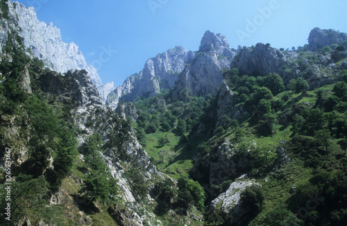 Italy; high in the mpuntains of the Dolomites photo