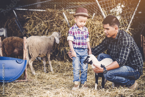 father and son in sheep farm
