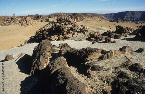 Spain  Tenerife. Volcanic landscape