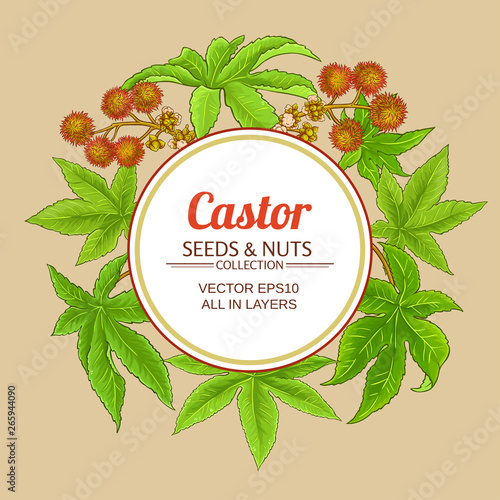 castor vector frame