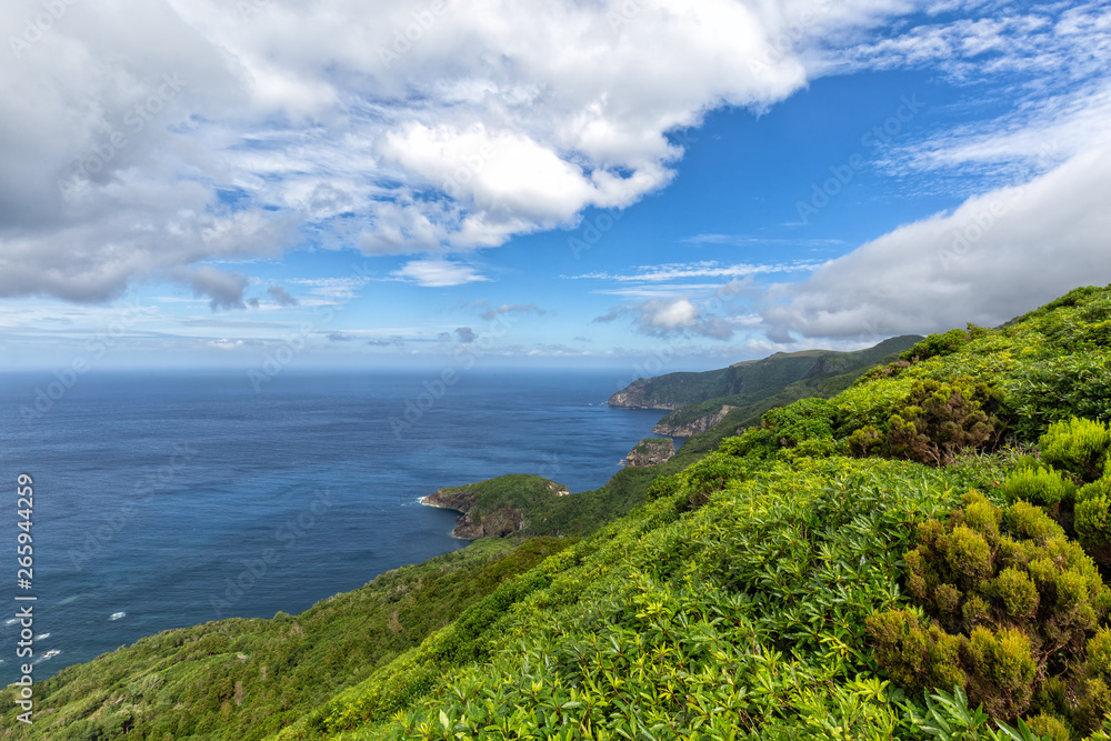 Beautiful Azores Coastline