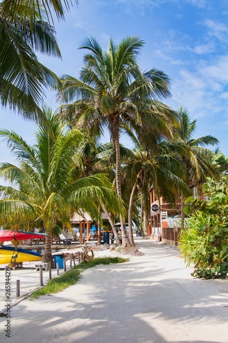 Caye Caulker Island, Palms, Beaches and Go Slow, Belize, Central America photo