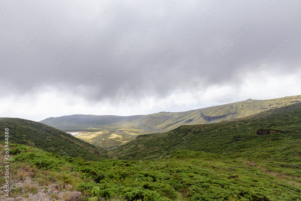 Reserva Florestal Natural do Morro Alto e Pico da Se Reserva Florestal Natural do Morro Alto e Pico da Se