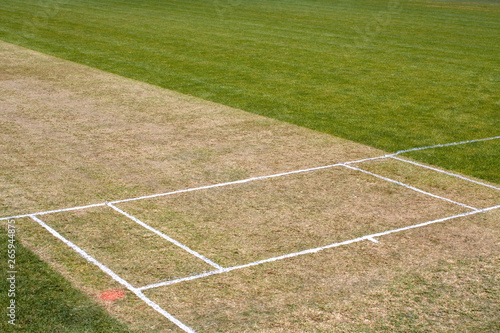 Cricket pitch sport grass field empty background