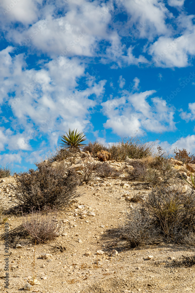 A dry desert landscape in Joshua Tree National Park A dry desert landscape in Joshua Tree National Park
