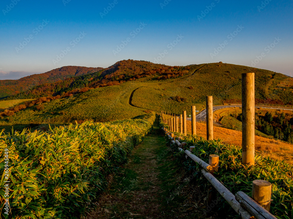 Fototapeta premium 【静岡県伊豆半島】伊豆山稜線歩道仁科峠付近からの夕景【秋】