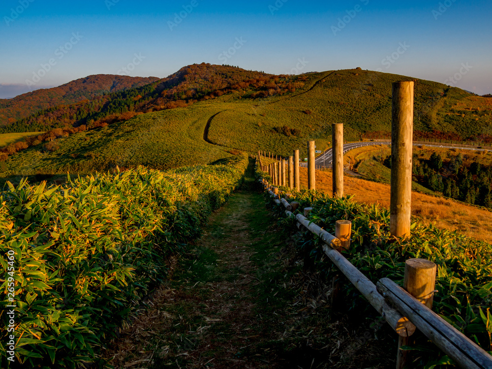 Fototapeta premium 【静岡県伊豆半島】伊豆山稜線歩道仁科峠付近からの夕景【秋】