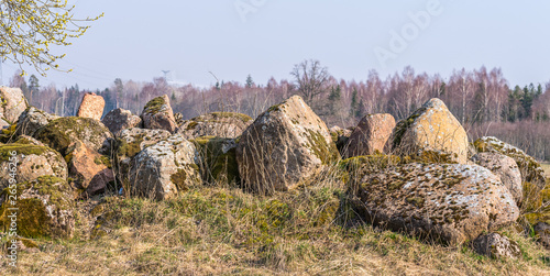 A pile of moss-covered stones on the edge of a field in early spring.