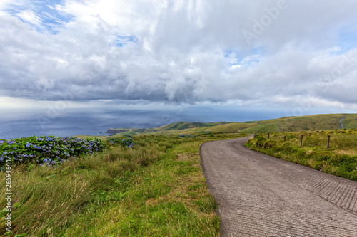 Afternoon on Flores