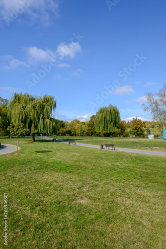 Park w Sandomierzu
