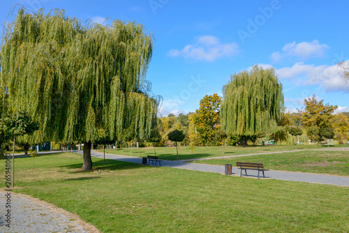 Park w Sandomierzu