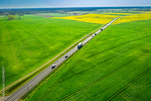Moving cars on a fast road between rape fields