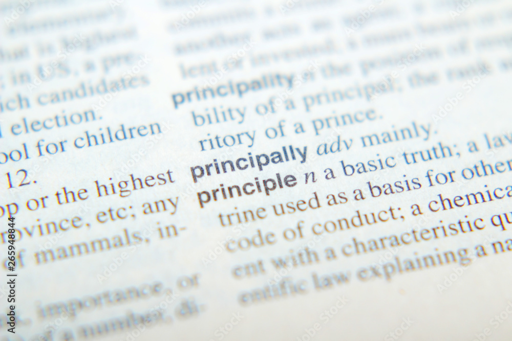 The explanation of the word Principle in dictionary The explanation of the word Principle in dictionary