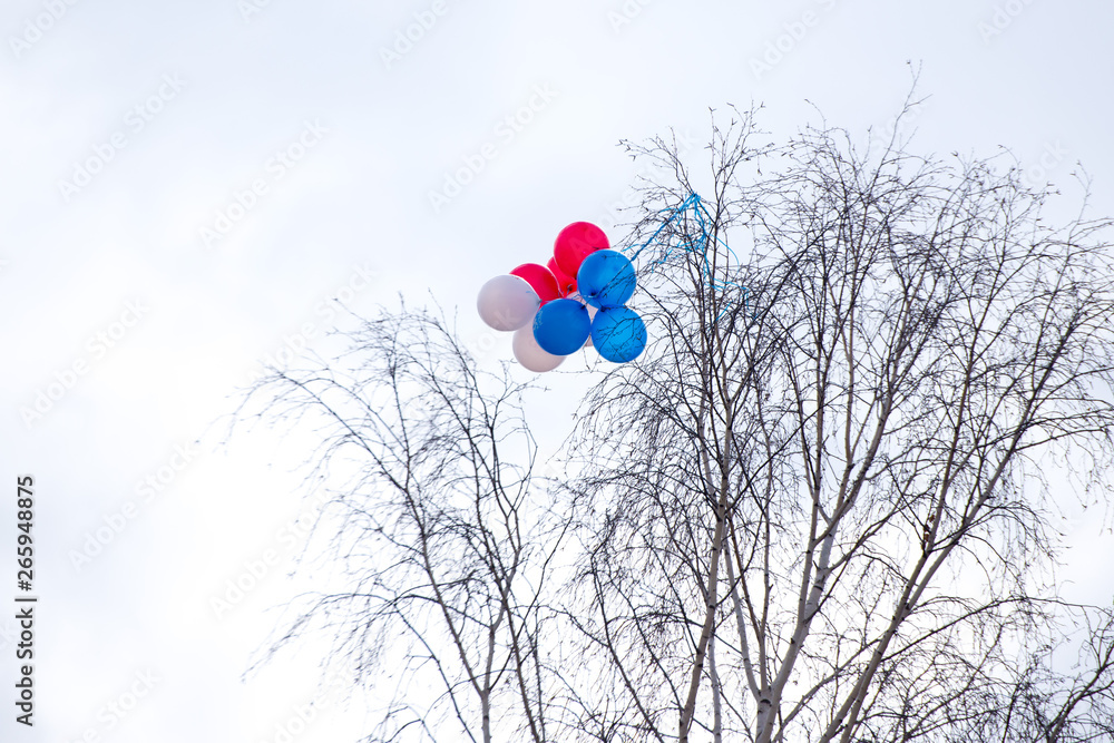 Pink balloons on a tree branch, balloons caught on tree Pink balloons on a tree branch, balloons caught on tree