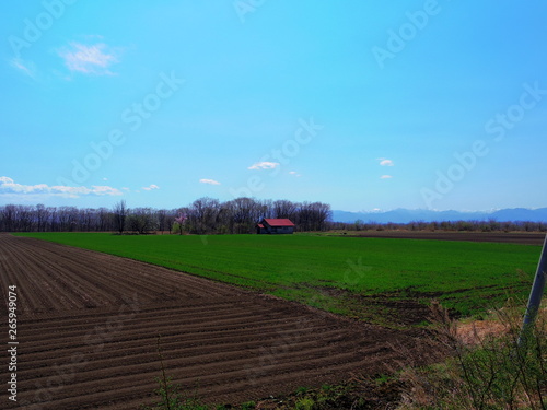 北海道十勝の広大な畑(初夏)