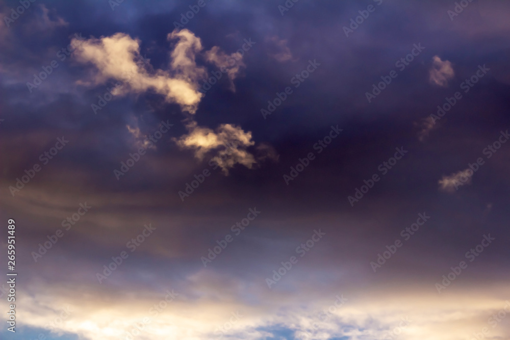 cloud in the form of an animal on a background of dark evening purple sky