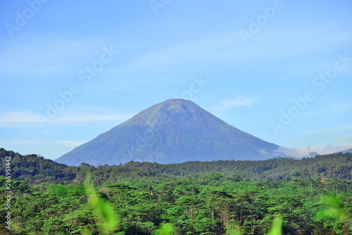 The natural scenery of Mount Sindoro with green trees underneath