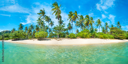 Panorama of beach on tropical island