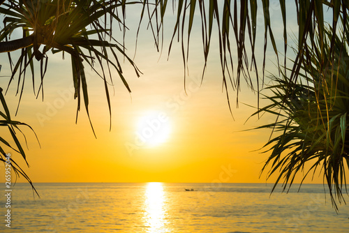 Sunset at tropical beach with palms