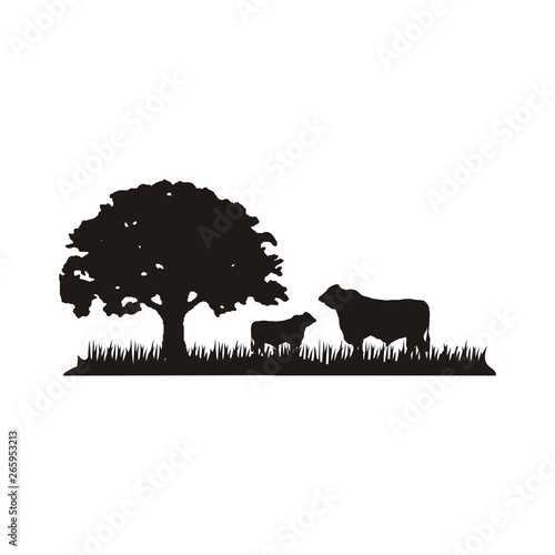 Cattle Angus & Grass silhouette