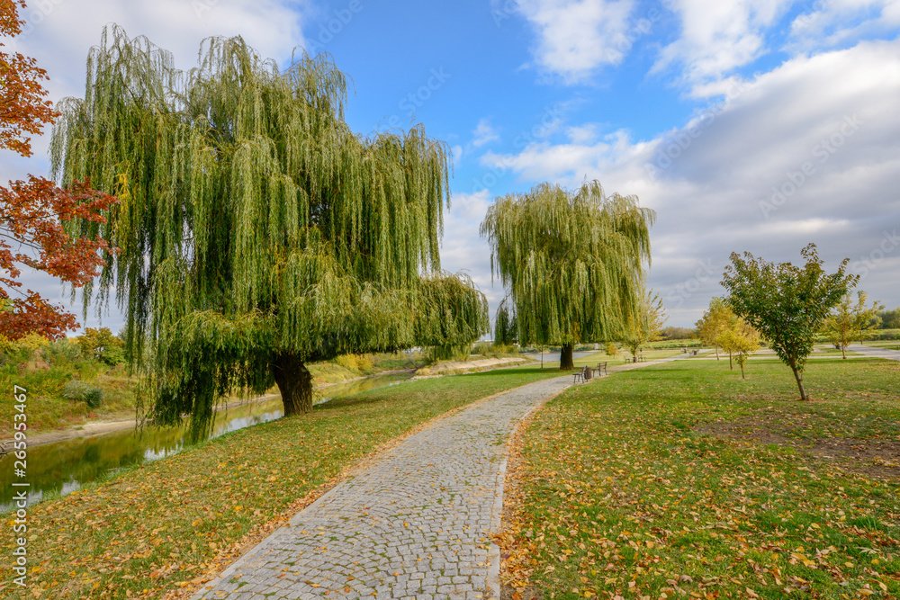 Park w Sandomierzu