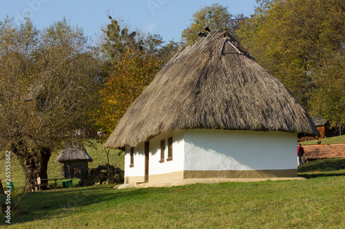 small ukrainian shack in park