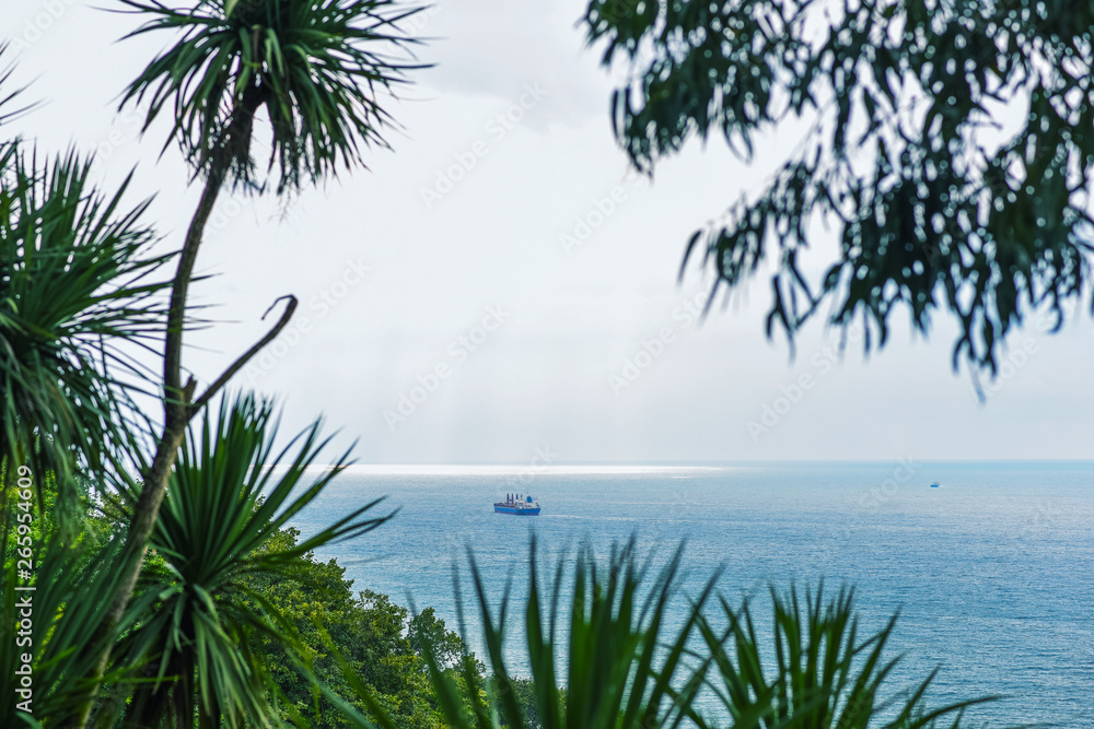 Beautiful scenic view from botanical garden of sea bay on Black sea coast. The lush green vegetation and ship in the distance. Batumi, Adjara Georgia Caucasus. Beautiful scenic view from botanical garden of sea bay on Black sea coast. The lush green vegetation and ship in the distance. Batumi, Adjara Georgia Caucasus.
