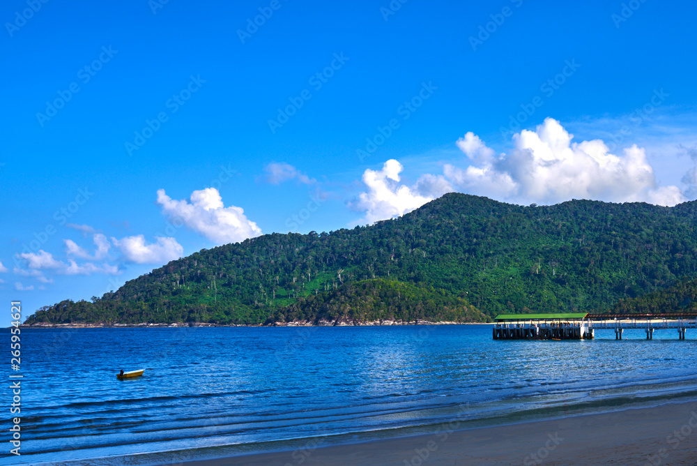 Nature landscape. Amazing sandy tropical beach with coconut palm tree in crystal clear sea and scenery bridge. Palm and tropical beach.
