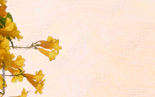 Yellow flower and green leaf color on orange and white color wood  patern print background texture