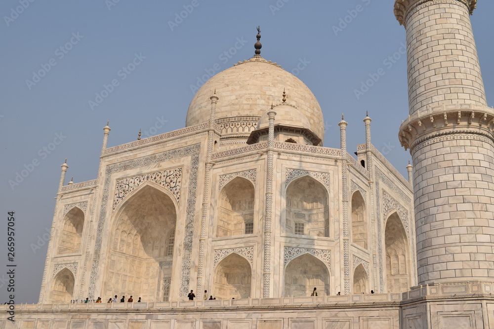 Detail close up picture of beautiful mausoleum Taj mahal in Agra India