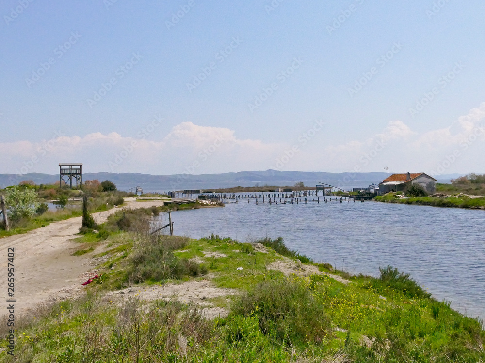 Albania, Divjake-Karavasta National Park, Lagoon of Karavasta