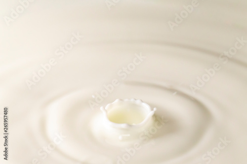 ミルクの飛沫と波紋