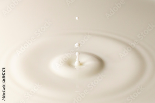 ミルクの飛沫と波紋