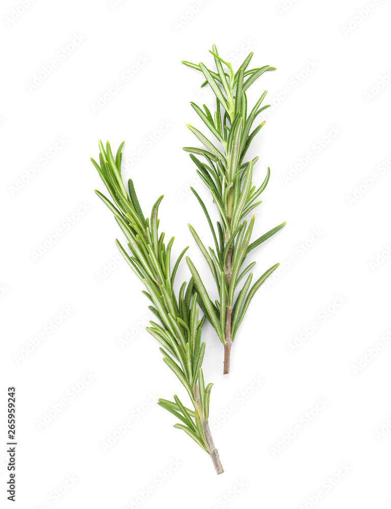 Fresh green rosemary twigs on white background, top view Fresh green rosemary twigs on white background, top view