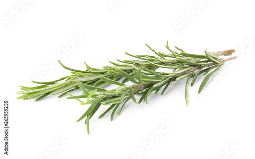 Fresh green rosemary twigs on white background