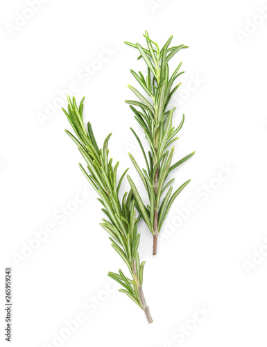 Fresh green rosemary twigs on white background  top view