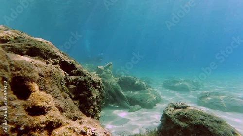 Underwater scene with the statue on the bottom of the sea and several divers floating at the distance