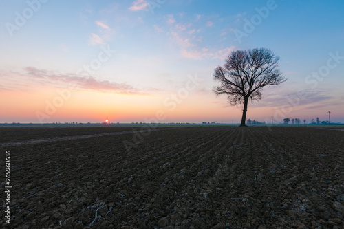 Landscape / Dawn
