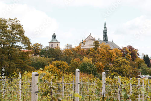 Sandomierz photo