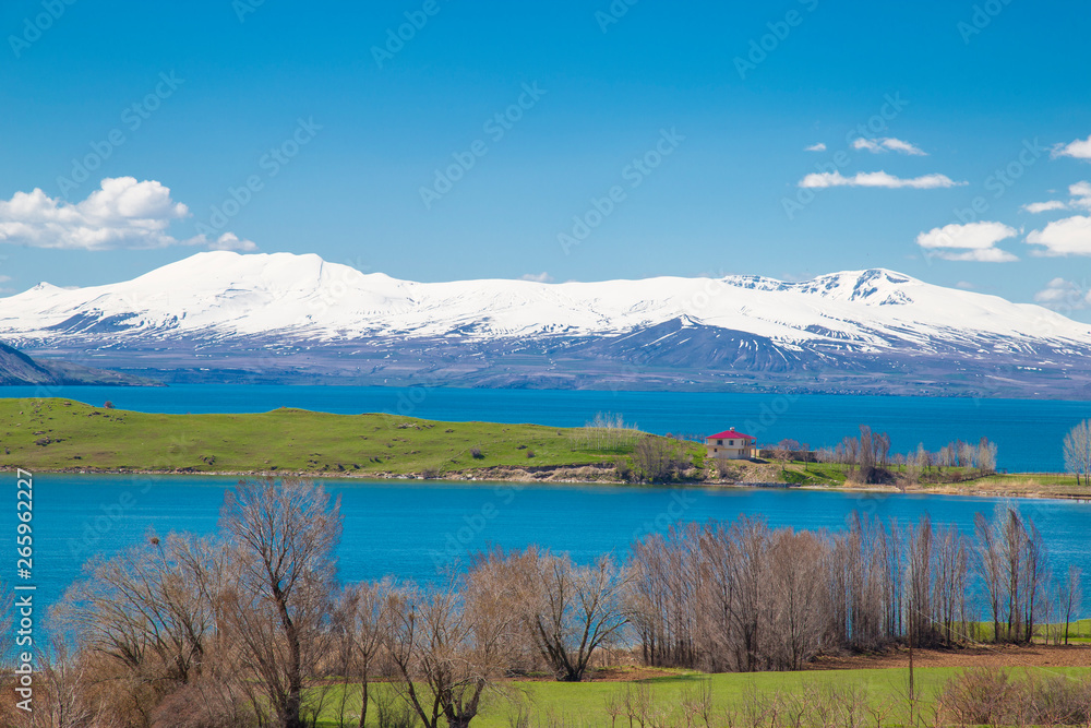Tranquil scene, snowy mountains, lake and green meadow