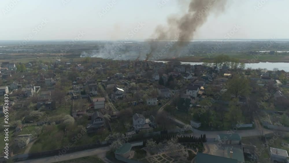 Flying over the river with reeds. Fire reed on the river near the village. Aerial survey Flying over the river with reeds. Fire reed on the river near the village. Aerial survey