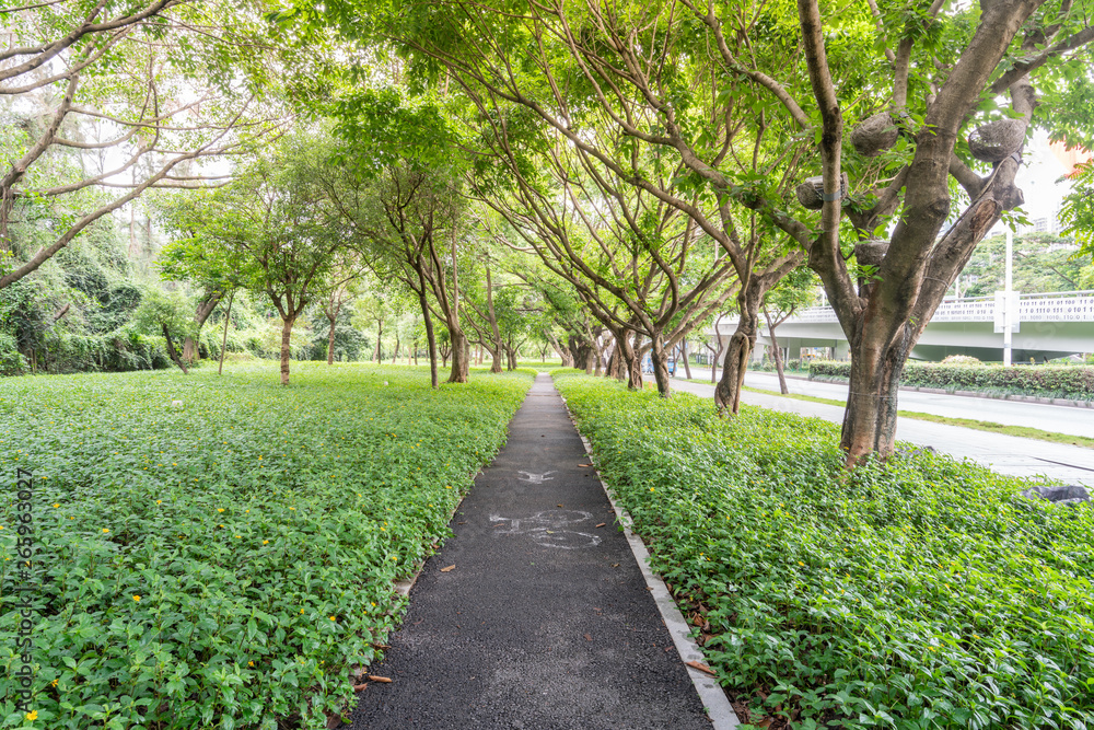 Shenzhen Nanshan Greenery Walkway